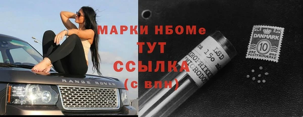 СК Инта