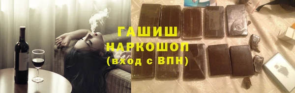 СК Инта